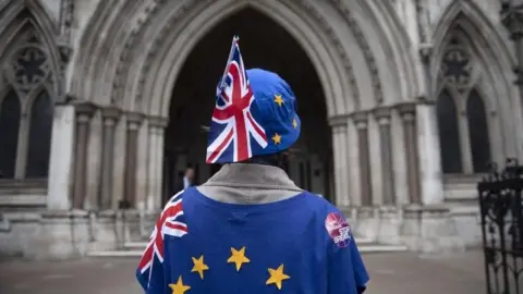 Brexit protester