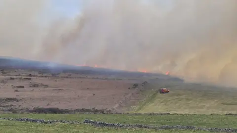 RICHARD SOLWAY PHOTOGRAPHY Gorse fire