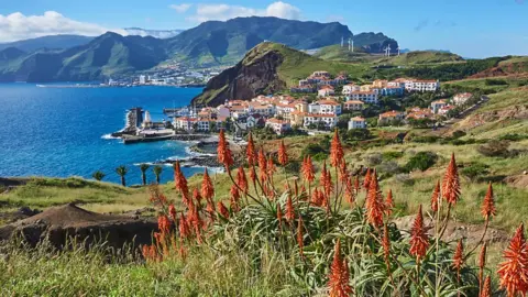 Getty Images Madeira