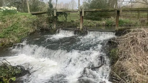 River Thame Conservation Trust Image of the weir at the Chalgrove Brook