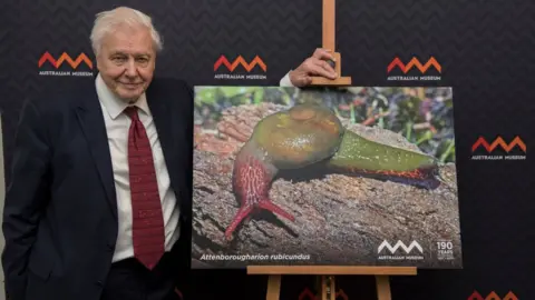 James D. Morgan/Getty Images Sir David Attenborough at the Australian Museum with a photo of the Attenborougharion rubicundus - a snail, 35-45mm long, found only in Tasmania, on February 8, 2017 in Sydney, Australia