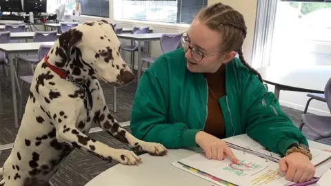 BBC Dalmatian dog with female pupil