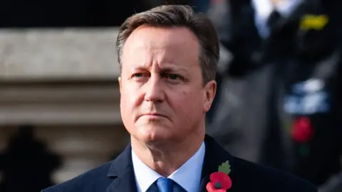 WireImage Former British prime minister David Cameron was a paid advisor to Greensill Capital