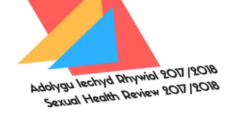 Public Health Wales The front cover of Public Health Wales' Sexual Health Review