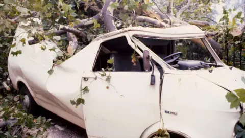 Van crushed by uprooted tree in London