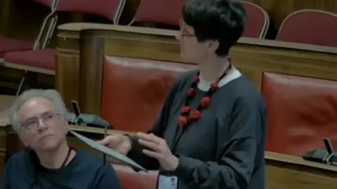 Cambridge City Council Katie Thornburrow speaking at the city's planning and transport scrutiny committee