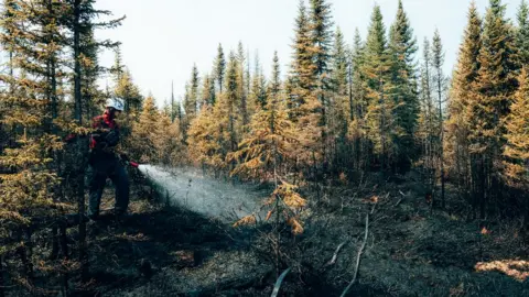 Audrey Marcoux/SOPFEU A photo of a Quebec firefighter hosing down a forest