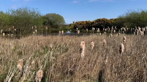 David Bellamy  Lough Cranstal Nature Reserve