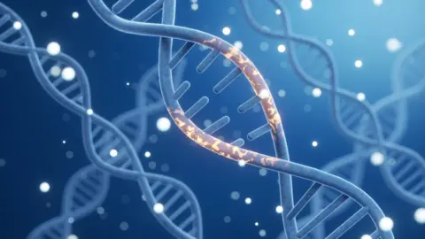 Getty Images Illustration of a DNA molecule