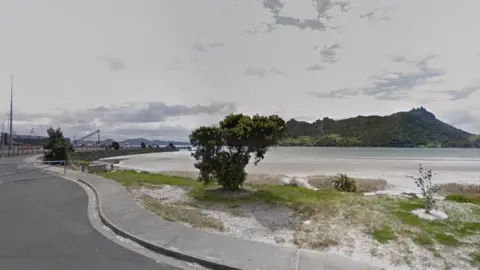 Google Marsden Point