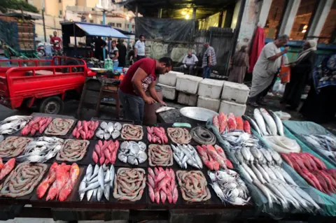 EPA Egyptian vendors display fish for sale at a fish market in Alexandria, 220km northwest of Cairo, Egypt, 08 September 2019.