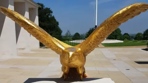 Cambridge American Cemetery Eagle returned to US cemetery