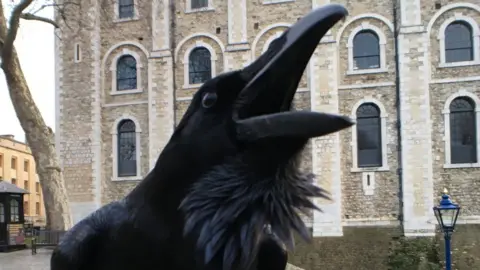 Historic Royal Palaces Raven at Tower of London
