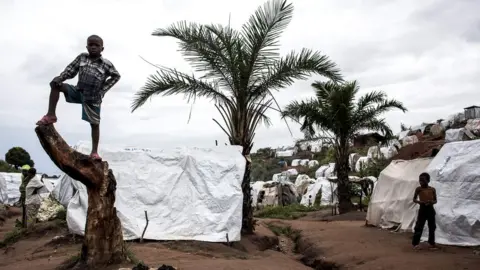 AFP A young Congolese boy stood on a tree stump at a camp for Internally Displaced Persons in Kalemie, Democratic Republic of the Congo. Behind him are two large palm trees and several makeshift camps.