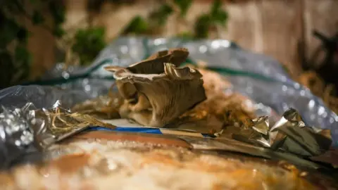 BBC News Mushrooms growing on the first full size prototype