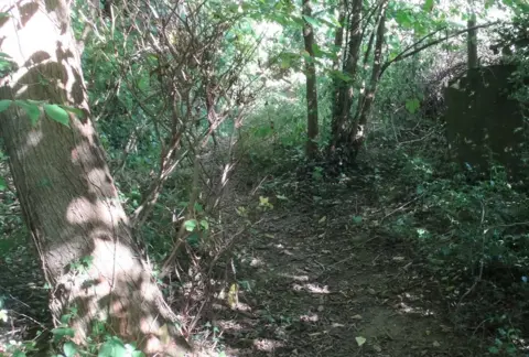 Graham Hollox Before clearing