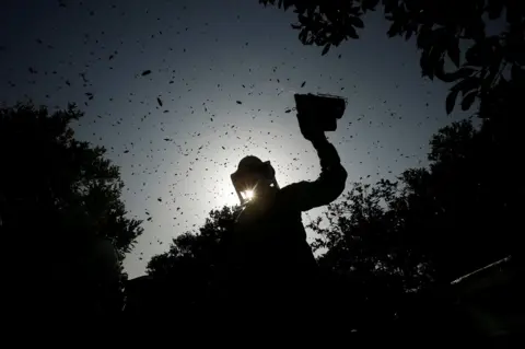 Suhaib Salem / Reuters A beekeeper