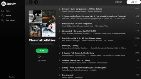 Spotify Spotify playlist