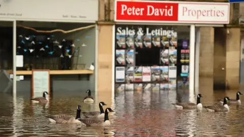 AFP Geese swimming in flooded Hebden Bridge