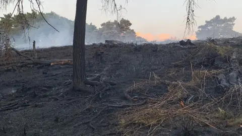 Hereford and Worcester Fire Servide Damaged woodland