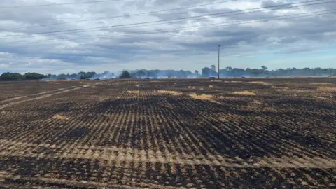 Essex Fire and Rescue Fields after a fire