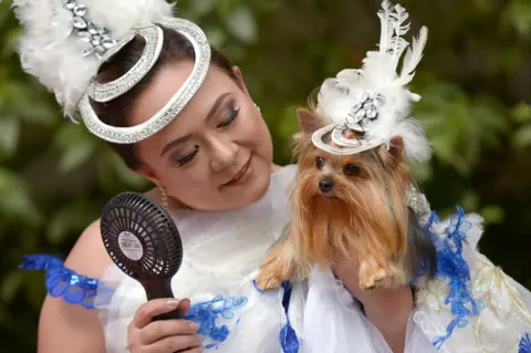 Eloisa Lopez / Reuters A woman fans her dog who is wearing a hat