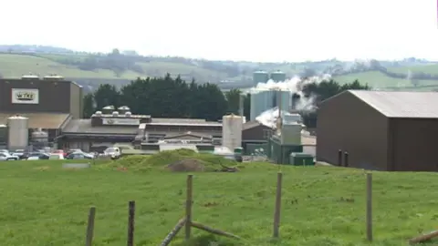 Wyke Farms dairy in Wincanton