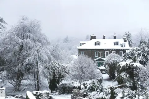 Alamy Live News Snow-covered trees and houses