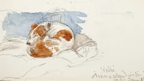 Charterhouse Watercolour painting of a dog