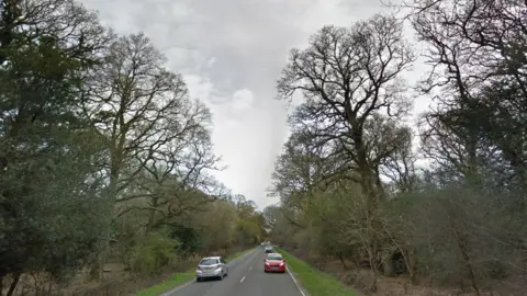 A337 between Lyndhurst and Brockenhurst