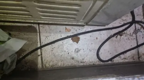 Wirral Council The floor area behind a freezer showing mice droppings 