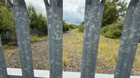 BBC A former railway line which is now overgrown with vegetation, with all of its tracks removed but the grey ballast remains. There are metal railings preventing people from going into the site. 