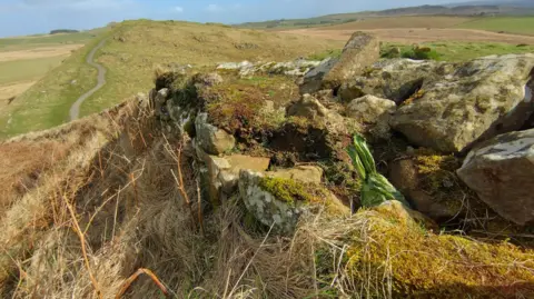 Northumberland National Park Authority A green dog poo bag has been left on top of the grassy top of a stretch of Hadrians Wall. The wall drops down into a gap and beyond it a path stretches up a hill 