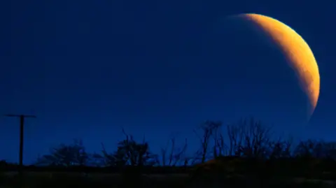 Partial eclipse moon with an orange colour over trees and a telegraph pole