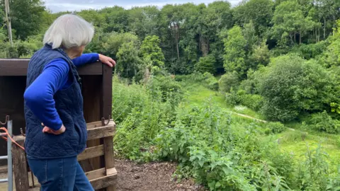 A woman in a blue jumper looks over a beautiful green valley made up of grass and trees