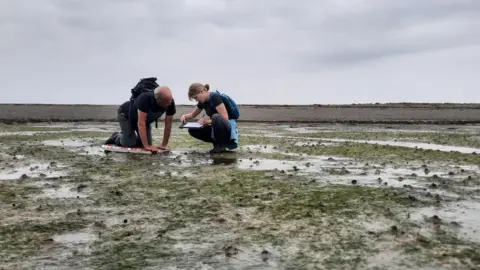 A man and a woman look closely at a muddy area which has green seagrass shoots growing. The woman is writing notes on a sheet of paper attached to a clipboard. She is crouching while the man is kneeling.