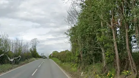 A road rises with a car in the distance with trees and bushes either side.