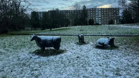 Dominique/BBC Weather Watchers Sheep in a frosty field with buildings in the background