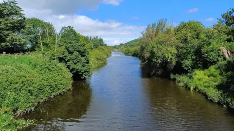 The picture shows King's Sedgemoor Drain.  The picture was taken on a sunny day.  There are green banks either side. A bridge is in the background.