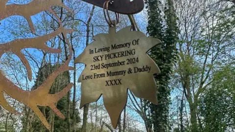 BBC/Charlotte Benton A memorial plaque in the shape of a leaf hanging from a steel tree. There is a message on it that reads "In loving memory of Sky Pickering, 23rd September 2024, love from mummy and daddy". There are trees and blue sky in the background. 