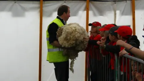 Glendale Agricultural Show  A man shows a sheep fleece to a group of children 