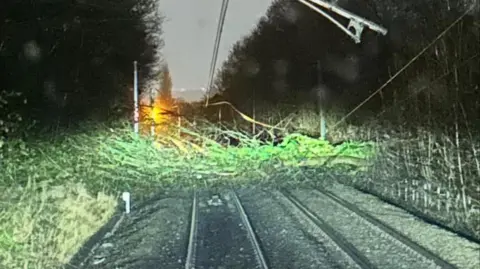 LNER A tree lies on a broken electric power line on a railway line