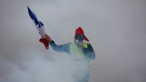 AFP Demonstrator braves tear gas in Paris protest - 1 December