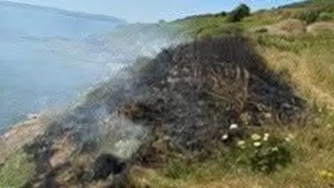 Devon and Somerset Fire and Rescue Service An area of scorched grass is seen on a clifftop surrouned by greenery, while in the background the cliff curves around to the sea and sky beyond. 