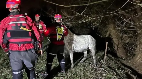 Northamptonshire Fire and Rescue White pony standing by a canal with three rescue personnel in red outfits