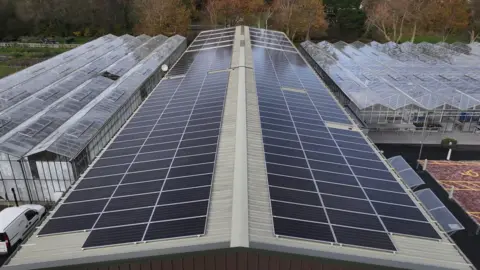 Guernsey Electricity Solar panels at Grow