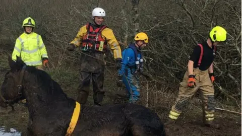 Photo of teams rescuing the horse from the water.