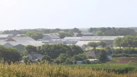 The Castlemartin range