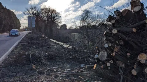 Felled trees alongside the A507