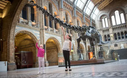 Trustees of the NHM, London Dippy